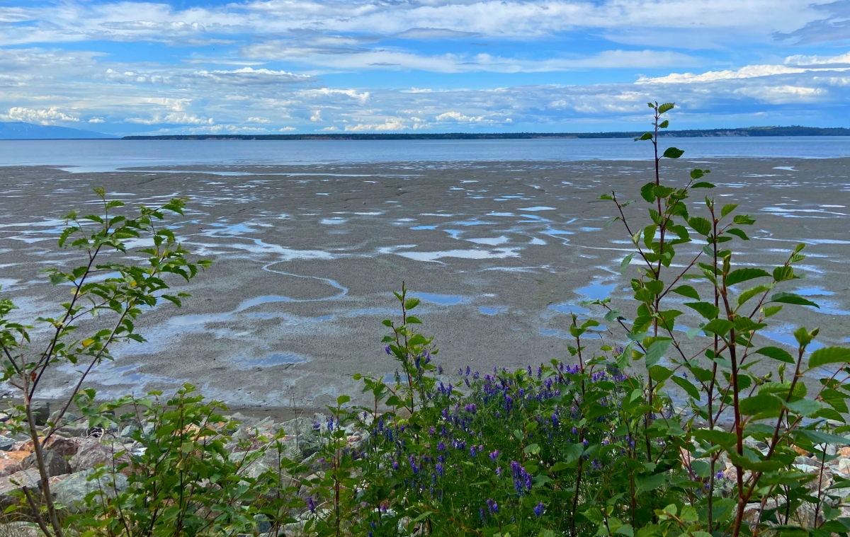 Alaska bucket list tony knowles coastal trail anchorage