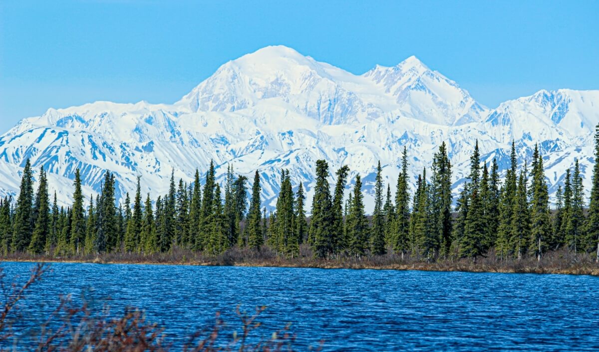 free things to do in denali national park view of denali from a lake