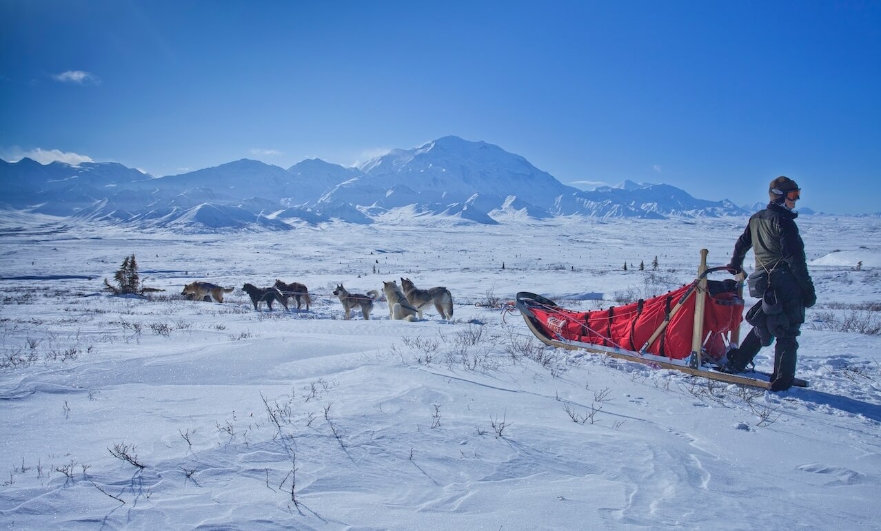 dog mushing in alaska