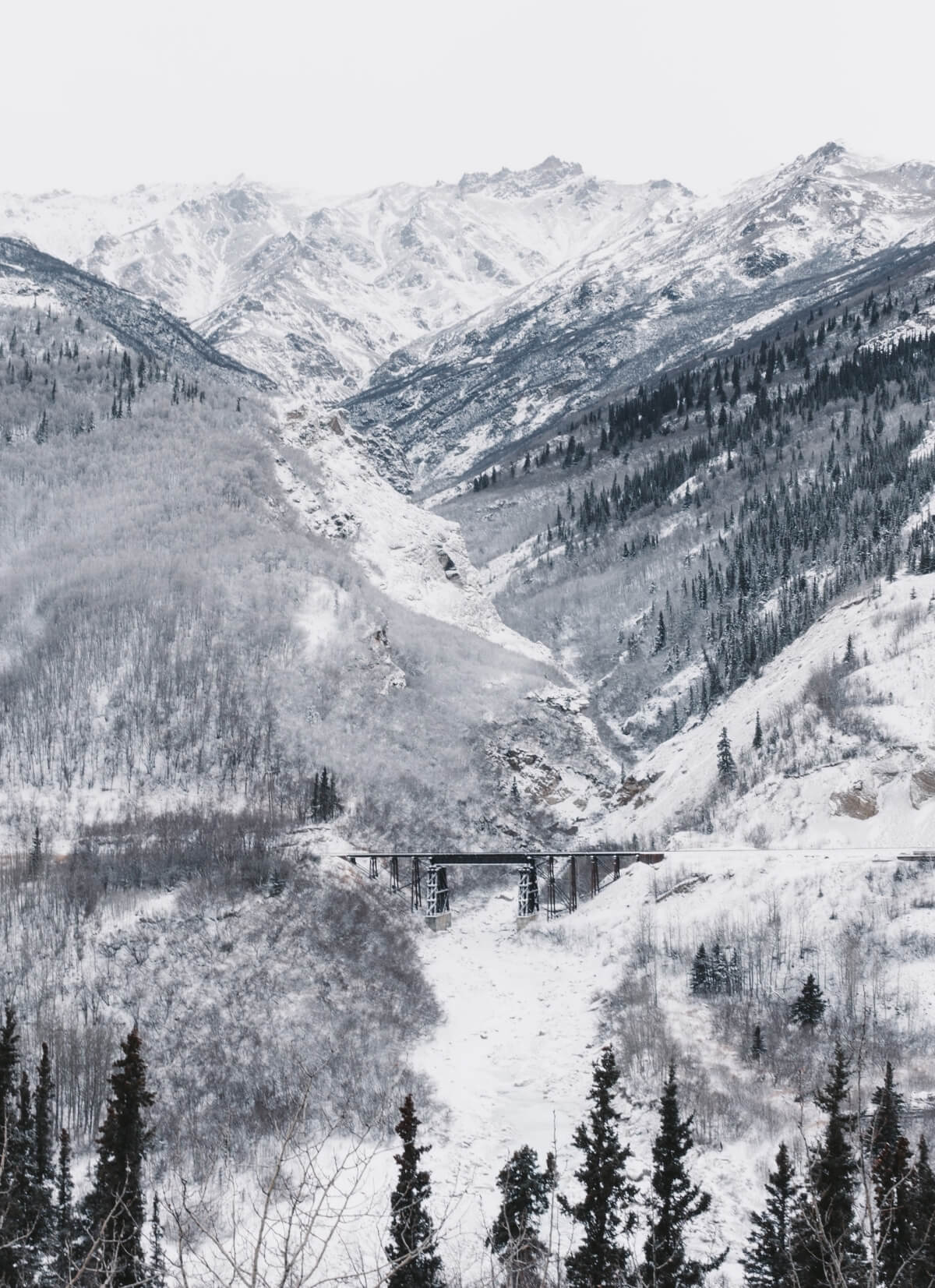 lots of snow in alaska