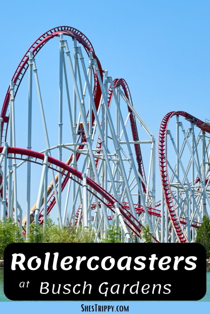 Busch Gardens Rollercoaster #rollercoasters #buschgardens