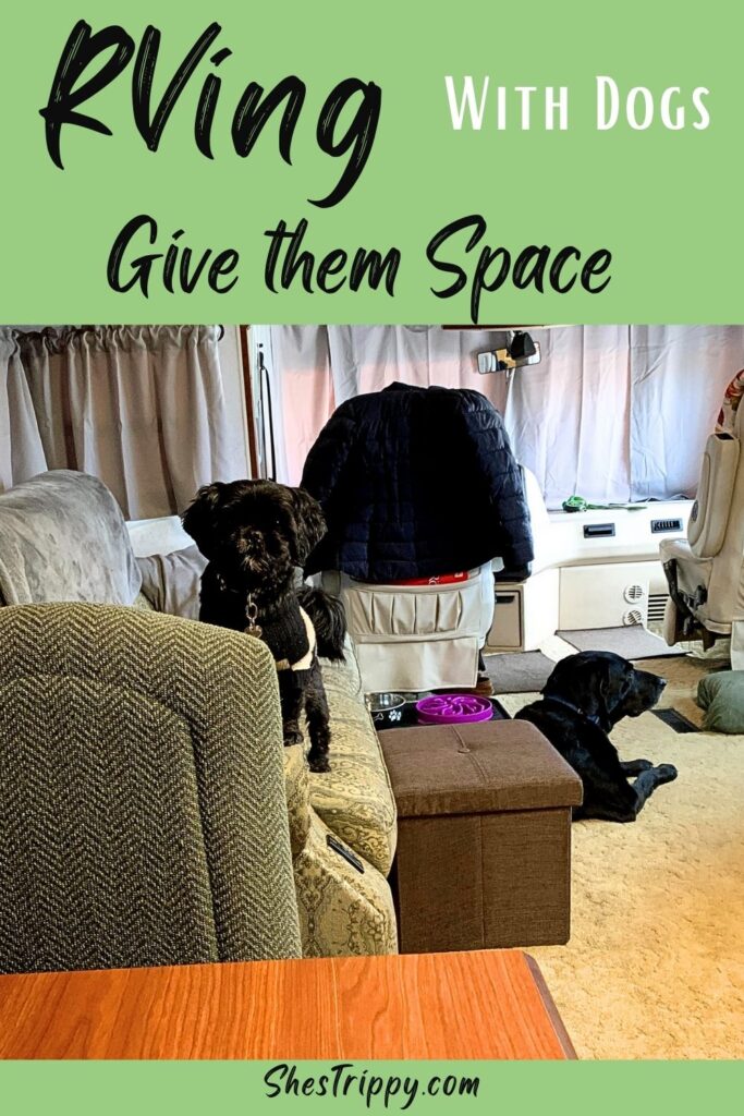 Give Them Space - RVing with Dogs #rving #rvtips #rvingwithdogs