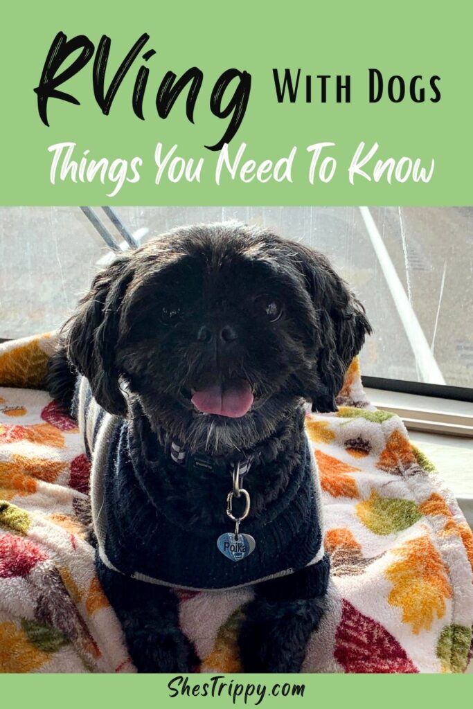 RVing with Dogs - Things You Need To Know #rving #rvingwithdogs #travelingwithdogs #rvingtips