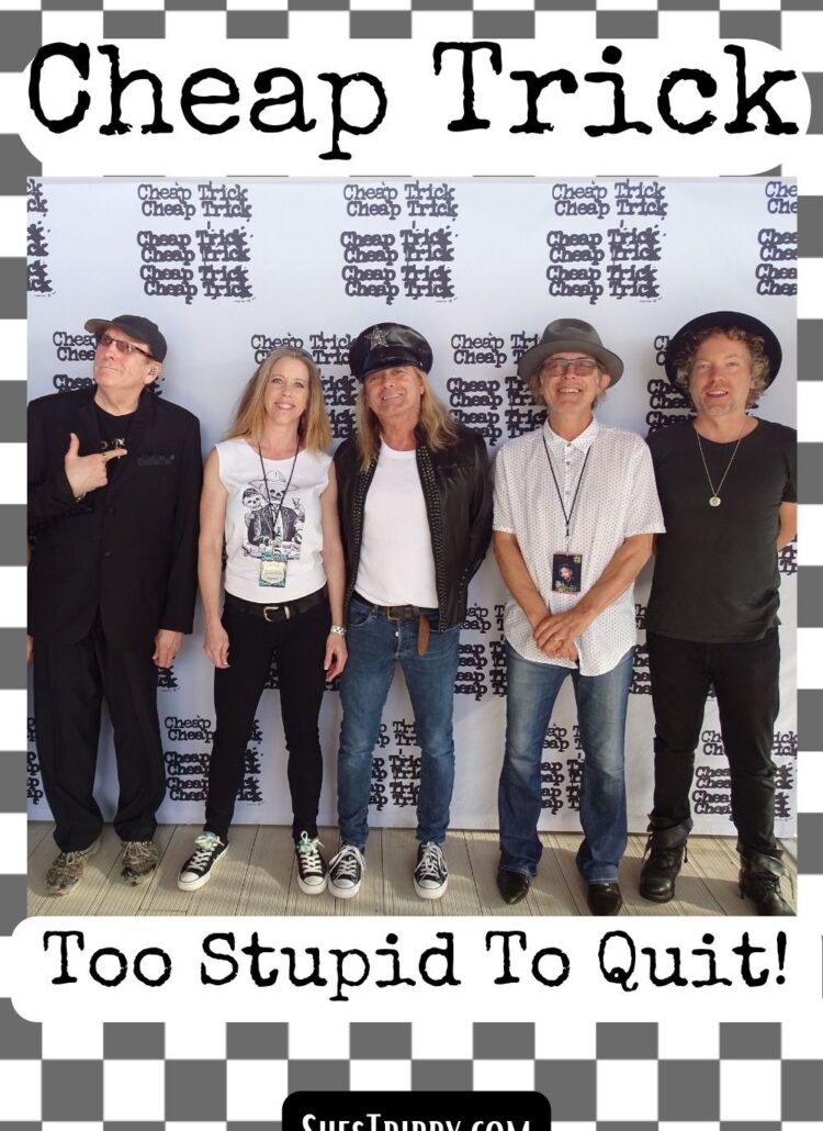 Cheap Trick Too Stupid to Quit #cheaptrick