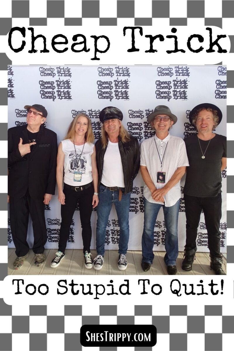 Cheap Trick Too Stupid to Quit #cheaptrick