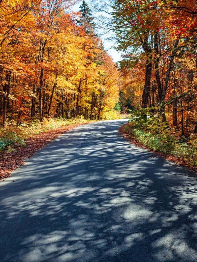 5 Best Fall Road Trips for Fall Colors in Minnesota