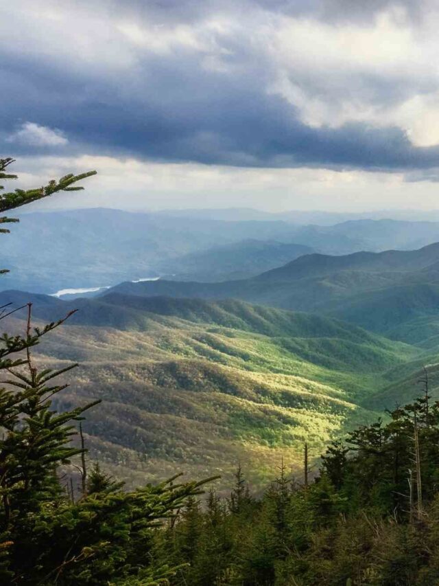 Guide to the Great Smoky Mountains National Park