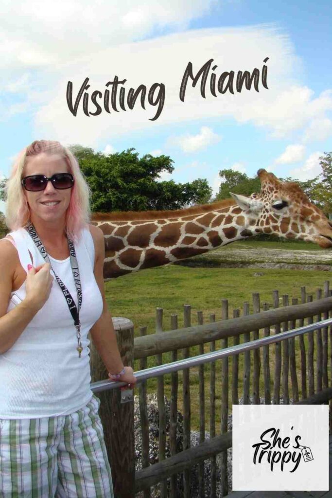 Visiting Miami #visitingmiami