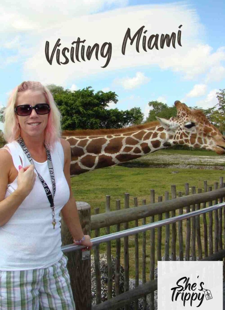 Visiting Miami #visitingmiami