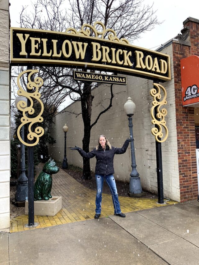 Wizard of Oz Yellow Brick Road