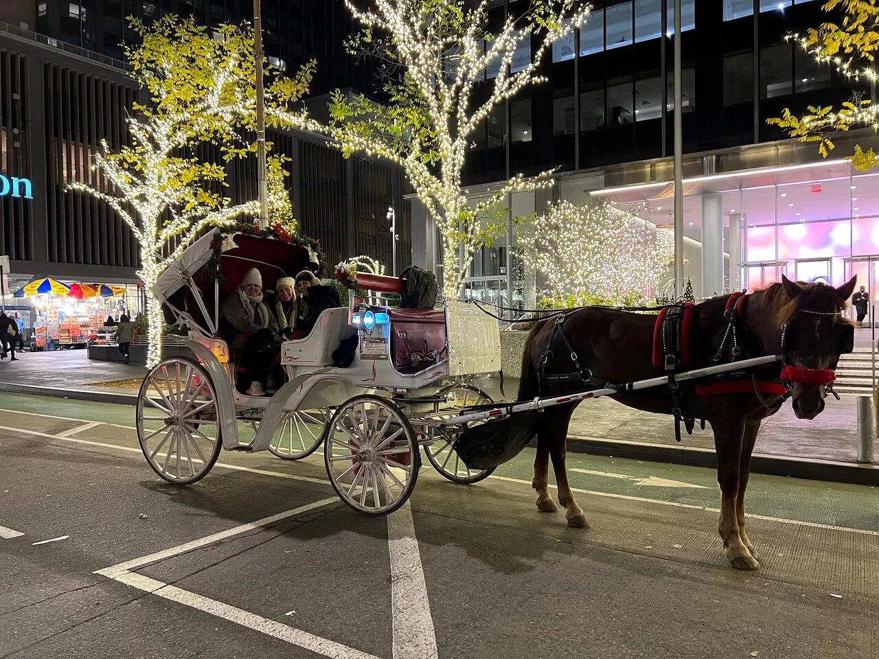 Christmas in New York Horse-Drawn Carriage Ride throughout THE CITY