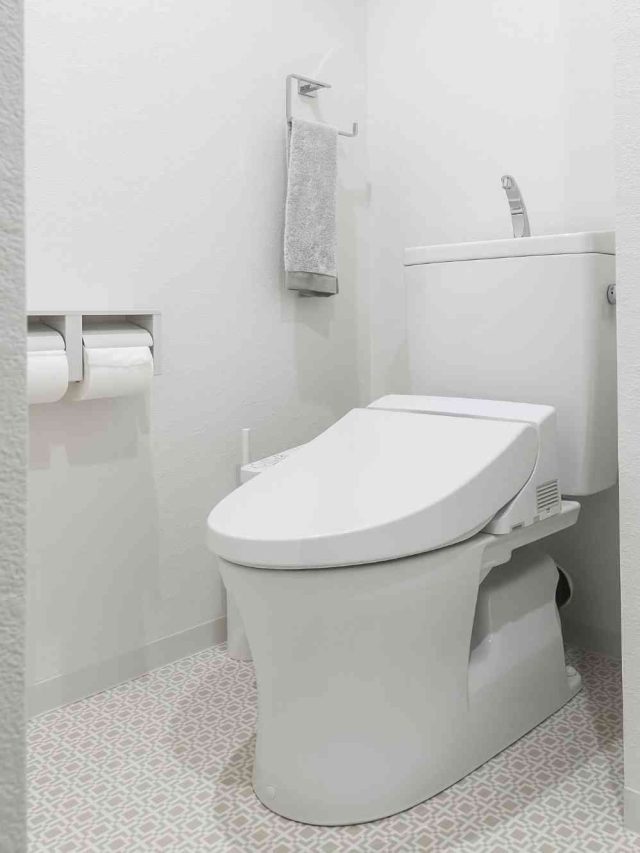 Get ready to elevate your bathroom experience. Bidets are making a splash in the hygiene game, and I’ve compiled a list of the top 10 best bidet toilet seats available on Amazon.