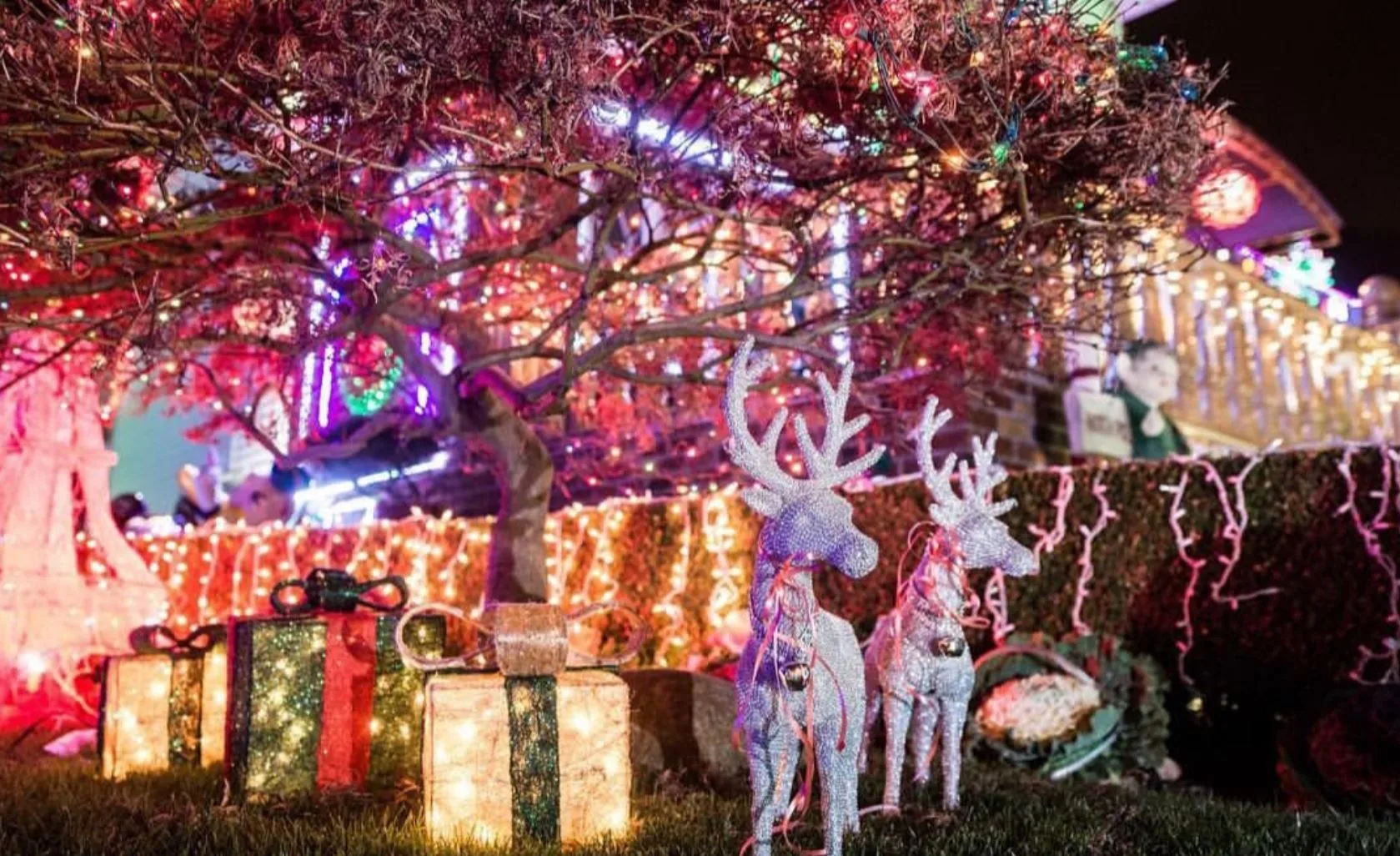 Christmas in New York  Dyker Heights Brooklyn