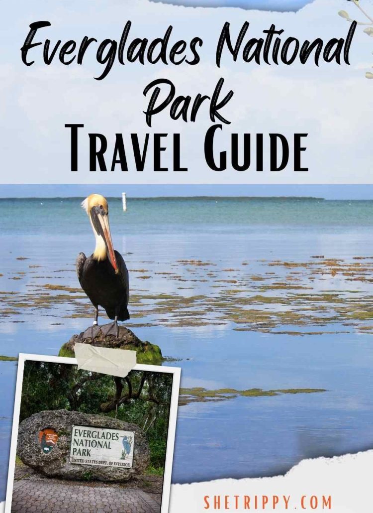 Everglades National Park Florida Travel Guide #travelguide #evergladesnationalpark #floridatravel