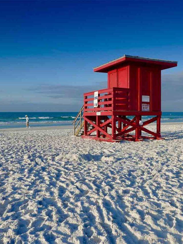 Everything About Sarasota Florida Travel Guide She's Trippy