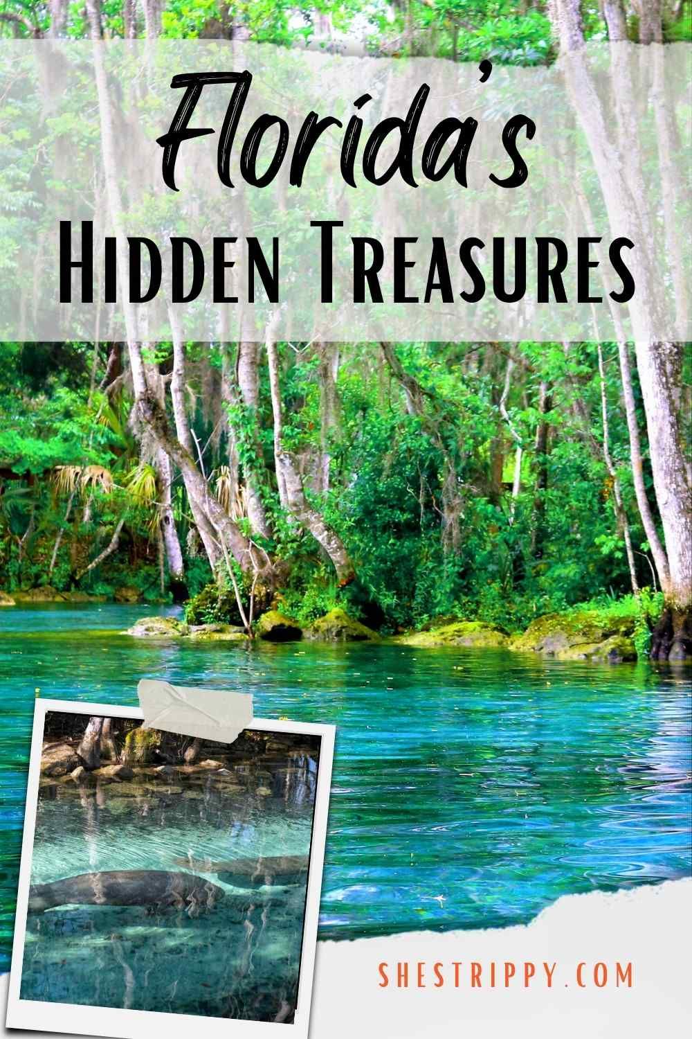 Unveiling Florida's Hidden Treasures for the Ultimate Getaway. Florida is a treasure trove of unique and beautiful landscapes and this list is just a snippit of thing to do. #floridashiddentreasures #floridatravelguide