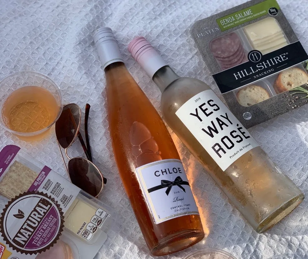 reasons to visit Atlanta Picnic in Piedmont Park Atlanta