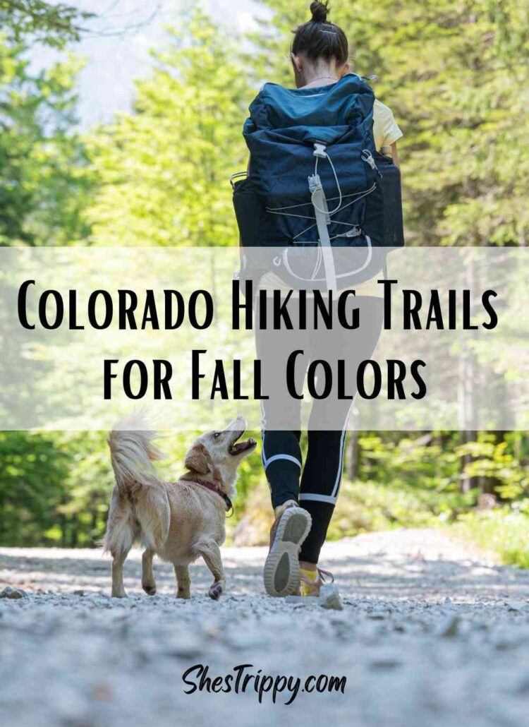 When planning a day hiking trip in Colorado you will find that there are hundreds of choices in the Rocky Mountains. The fall season is a special time in the Colorado Rockies. Fall is the time when people journey to the mountains to see the spectacular views of the changing aspens. Colorado Hiking Trails have some of the most beautiful fall colors.