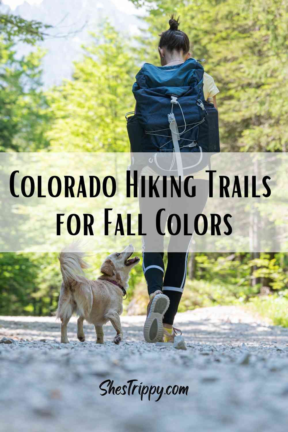 When planning a day hiking trip in Colorado you will find that there are hundreds of choices in the Rocky Mountains. The fall season is a special time in the Colorado Rockies. Fall is the time when people journey to the mountains to see the spectacular views of the changing aspens. Colorado Hiking Trails have some of the most beautiful fall colors.